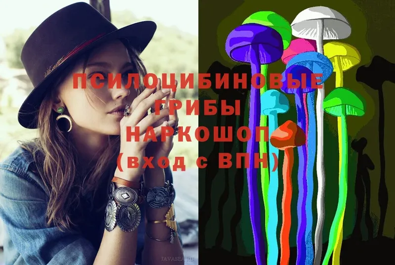 Галлюциногенные грибы Magic Shrooms Щучье